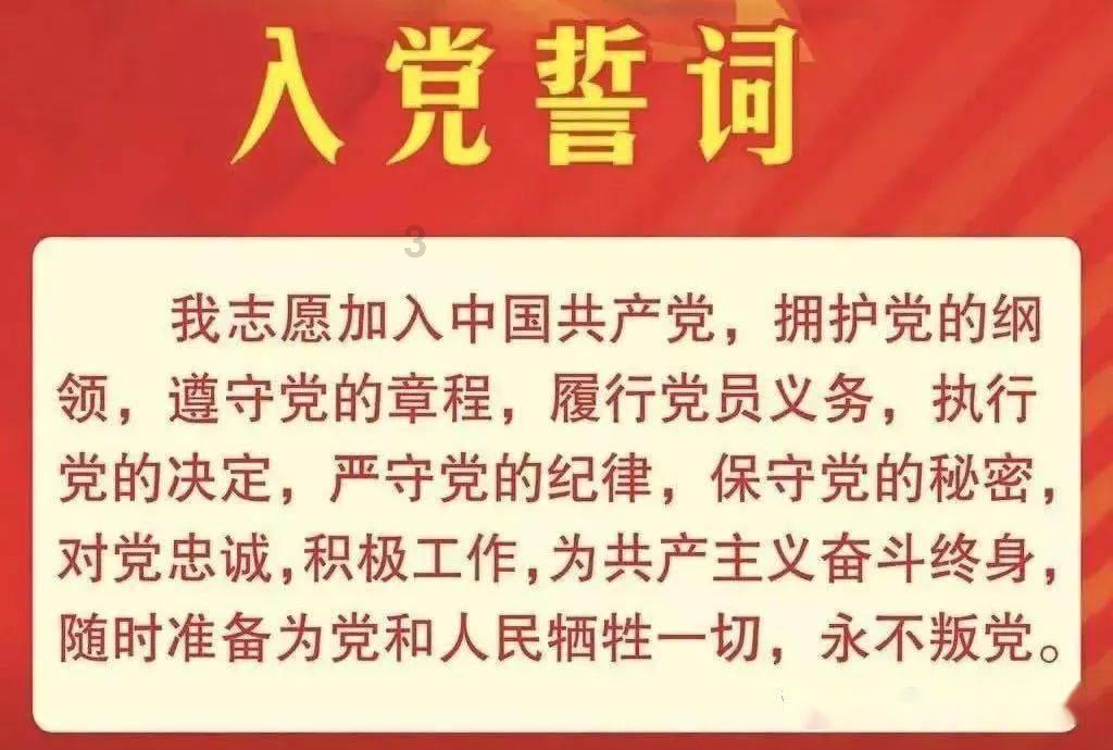 救援袋鼬